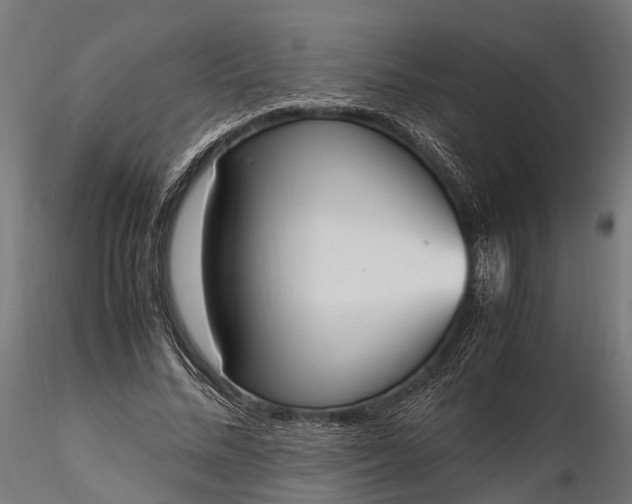 X0000116330684200912151306