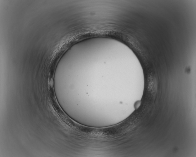 X0000116330685200912151306