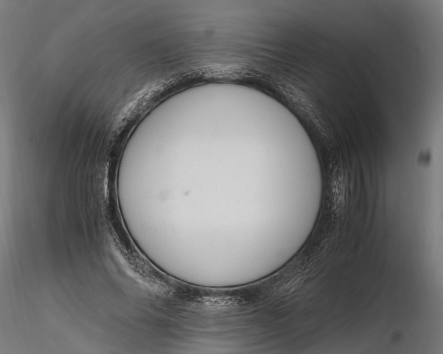 X0000116330686200912151306