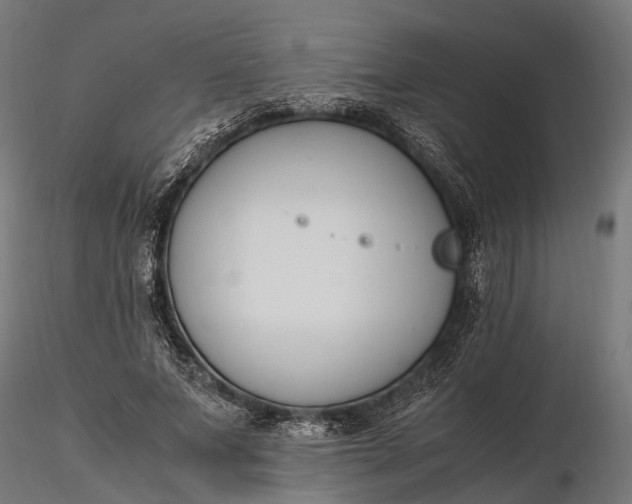 X0000116330687200912151306