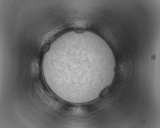 X0000116330688200912151306