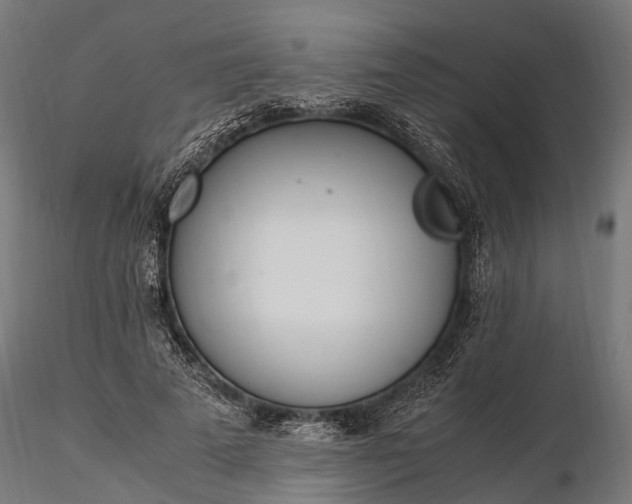 X0000116330689200912151306