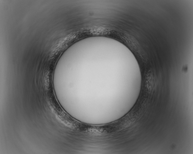 X0000116330690200912151306