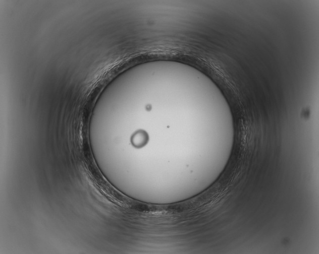 X0000116330692200912151306