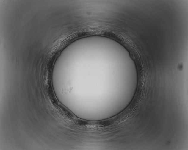 X0000116330693200912151306