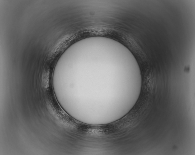 X0000116330694200912151306