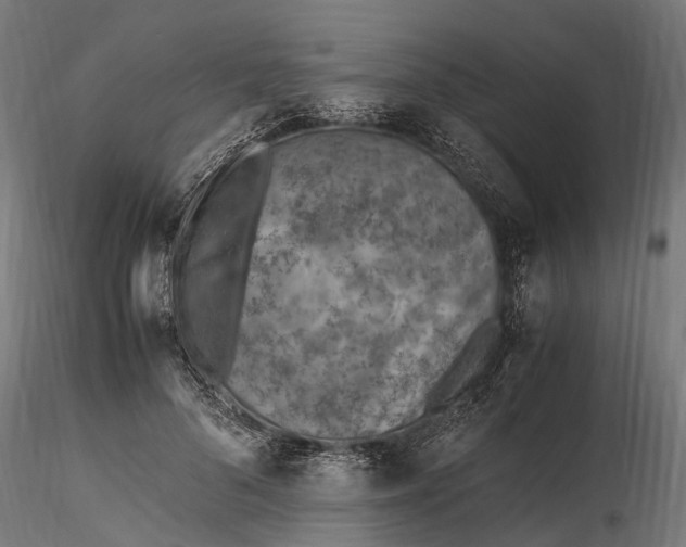 X0000116330696200912151305