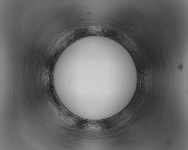 X0000116330702200912151305