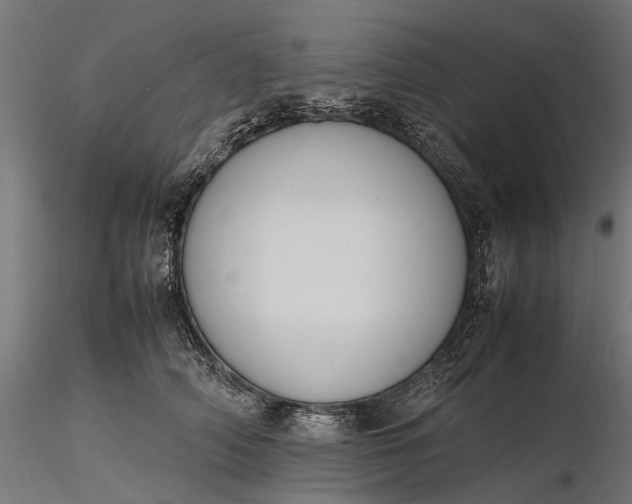 X0000116330706200912151305