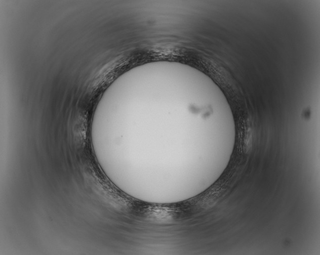 X0000116330710200912151305