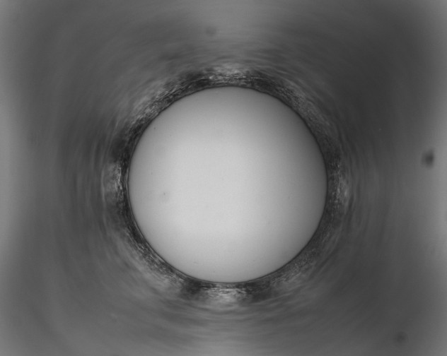 X0000116330711200912151305