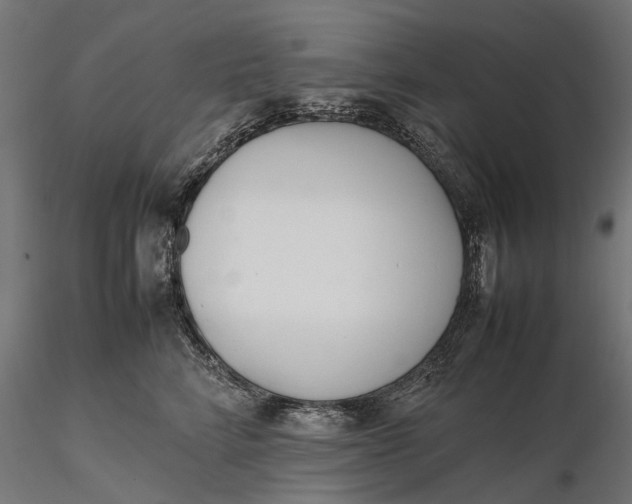 X0000116330712200912151305