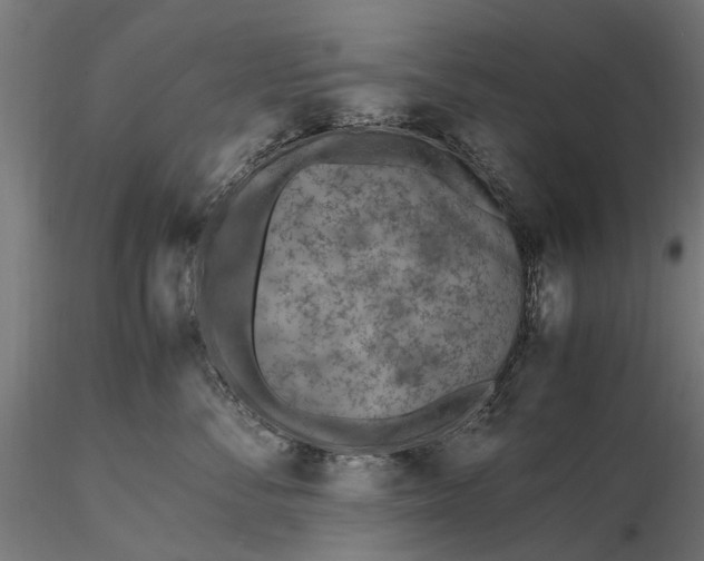 X0000116330716200912151305