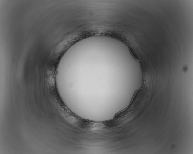 X0000116330719200912151305