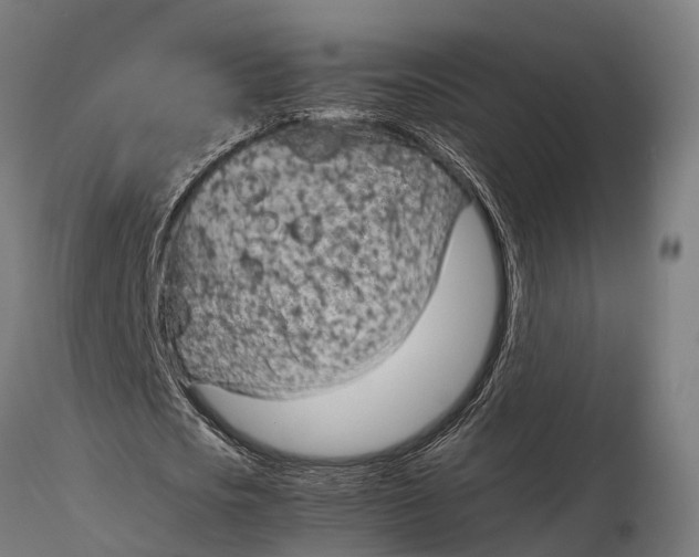 X0000116330721200912151304
