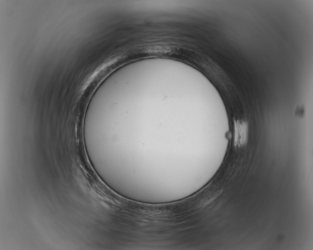 X0000116330723200912151304