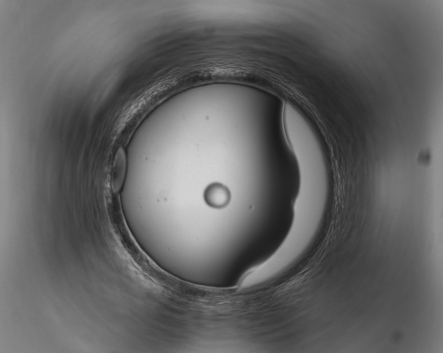 X0000116330725200912151304