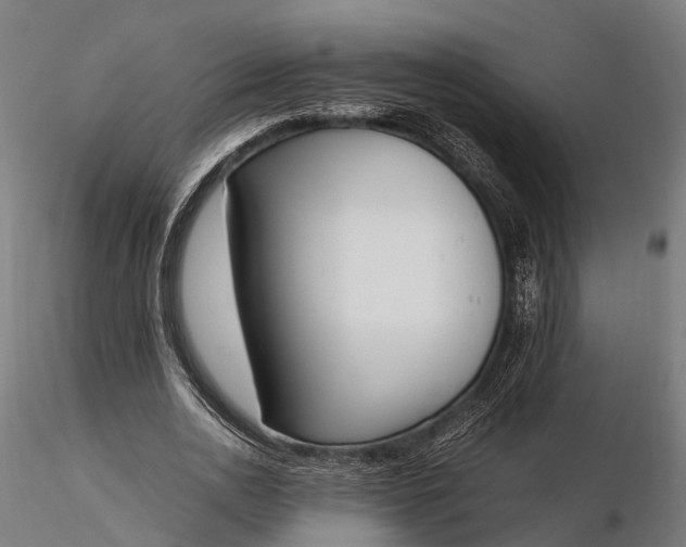 X0000116330726200912151304