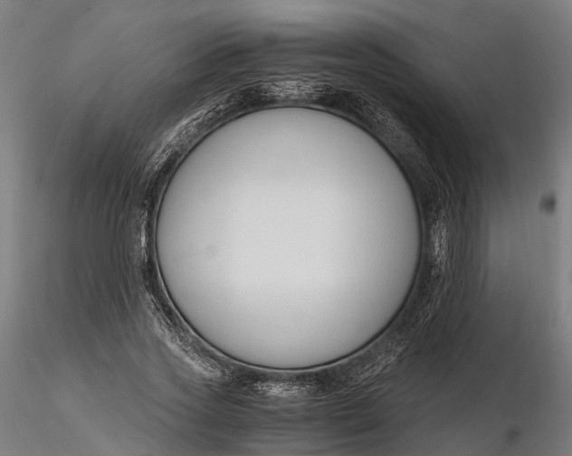 X0000116330733200912151304