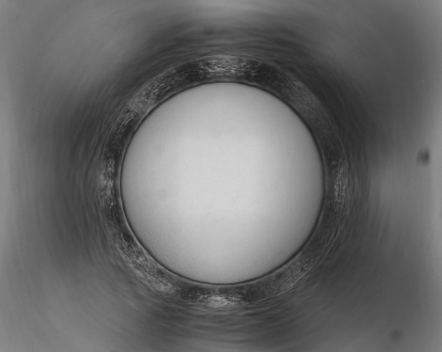 X0000116330737200912151305
