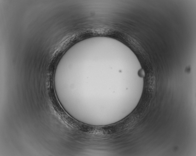 X0000116330738200912151305