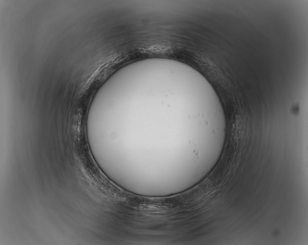 X0000116330739200912151305