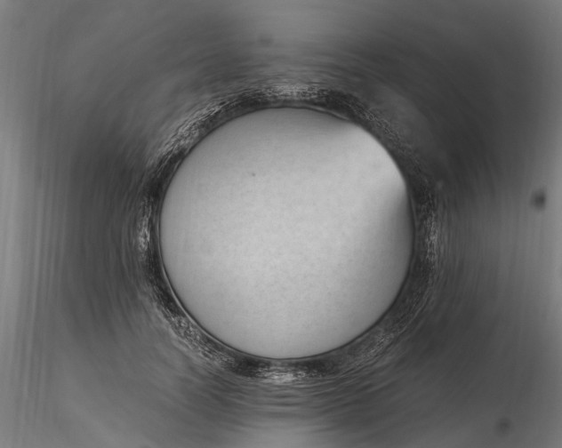 X0000116330746200912151305