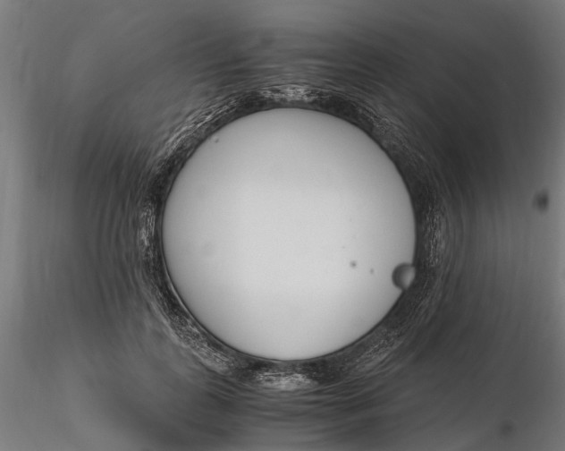 X0000116330747200912151305