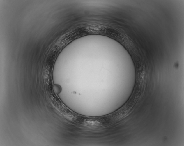 X0000116330749200912151305