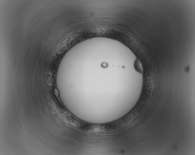 X0000116330750200912151305