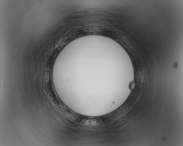 X0000116330751200912151305