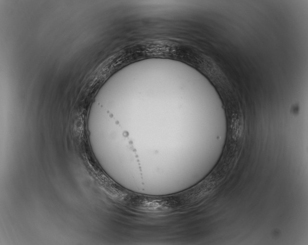 X0000116330753200912151305