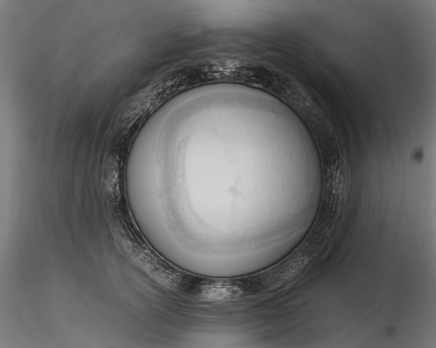 X0000116330754200912151305