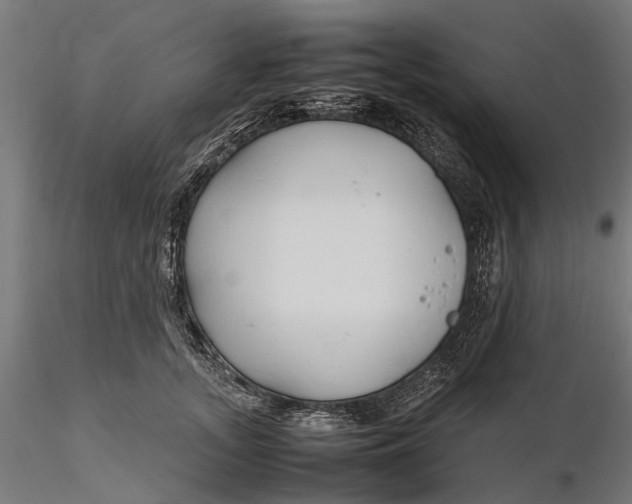 X0000116330755200912151305