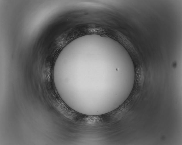 X0000116330762200912151305