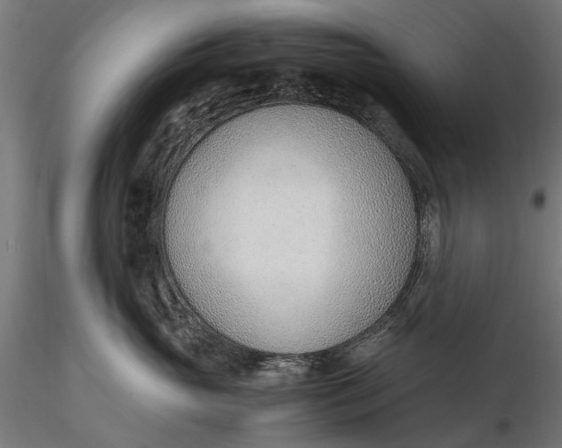X0000116330765200912151305