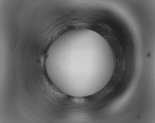 X0000116330767200912151305