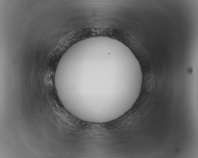 X0000116330770200912151304