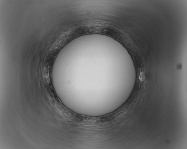 X0000116330771200912151304