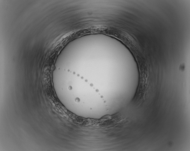 X0000116330773200912151304