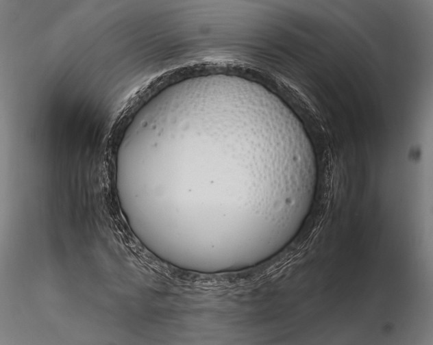 X0000116330776200912151304