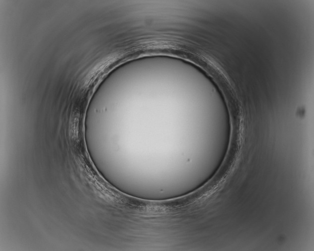 X0000116330777200912151304