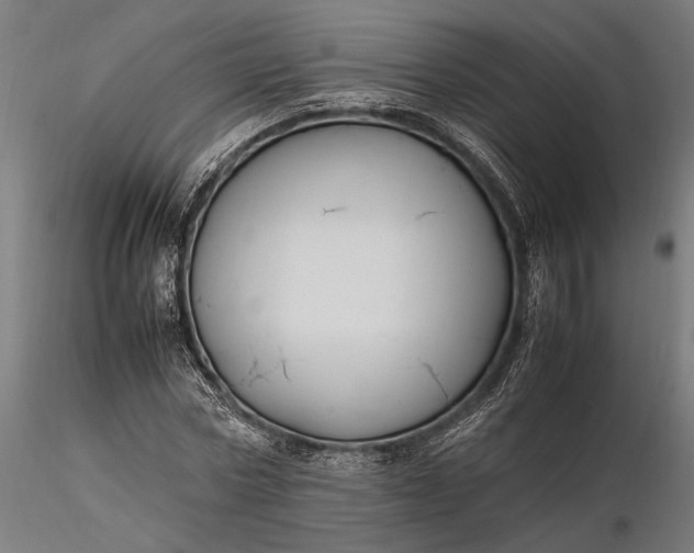 X0000116330778200912151304
