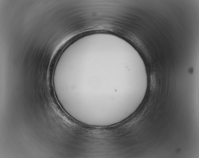 X0000116330780200912151304