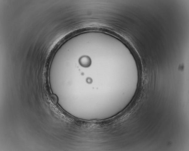 X0000116330783200912151304