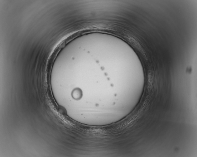 X0000116330784200912151304