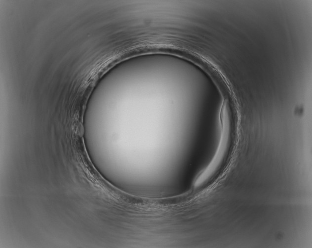 X0000116330785200912151304