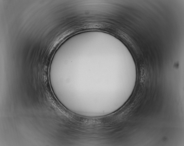 X0000116330786200912151304