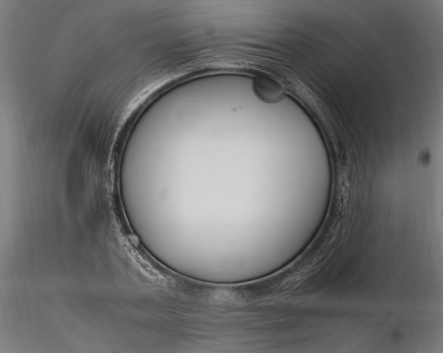 X0000116330787200912151304
