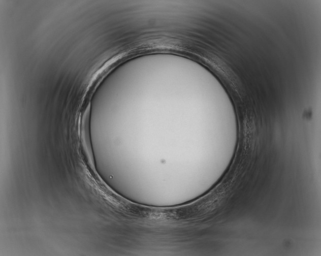 X0000116330790200912151304